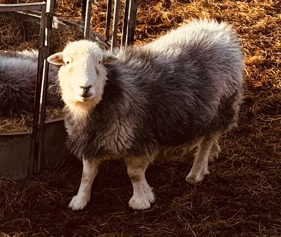 Bridge House Hotel主图