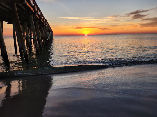 Beachside Motel主图