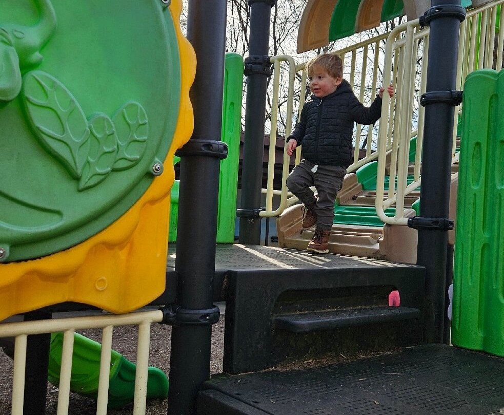 Dinosaur World-Cave City必去景点