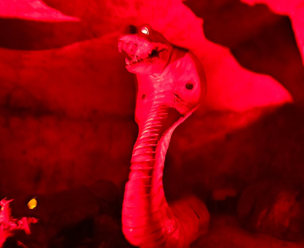 Bioparque Estrella México-San Juan Tuxtepec必去景点