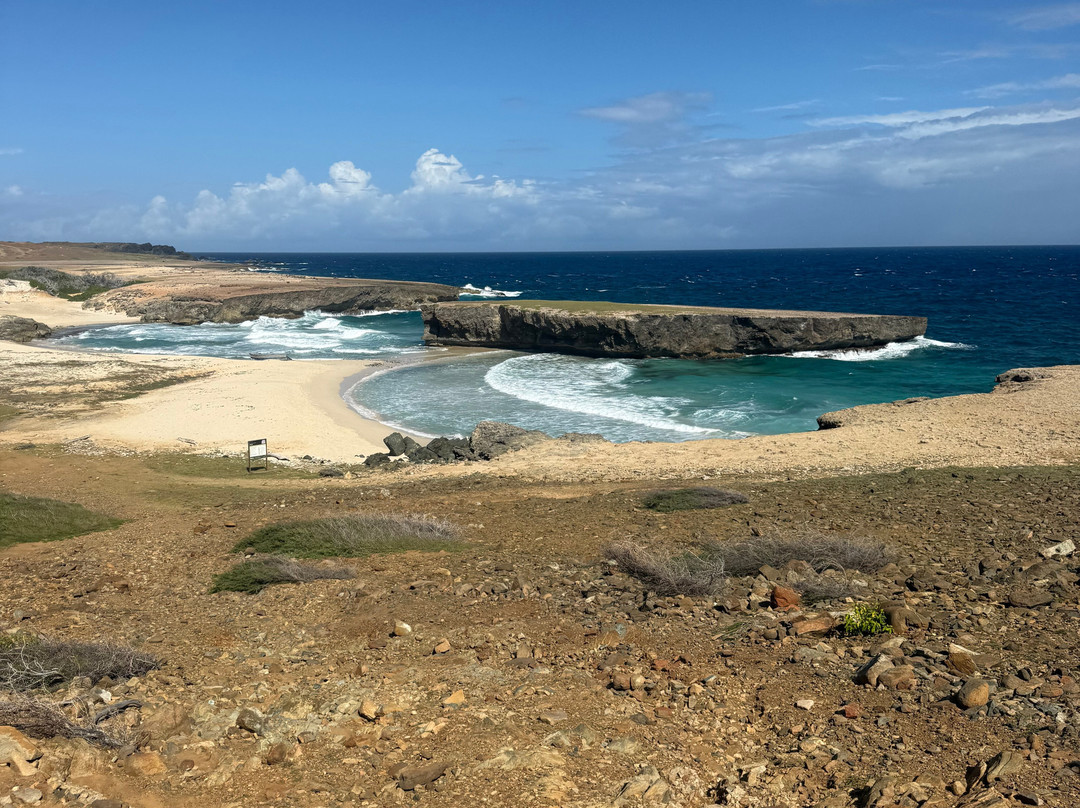 Rancho Loco-Santa Cruz必去景点