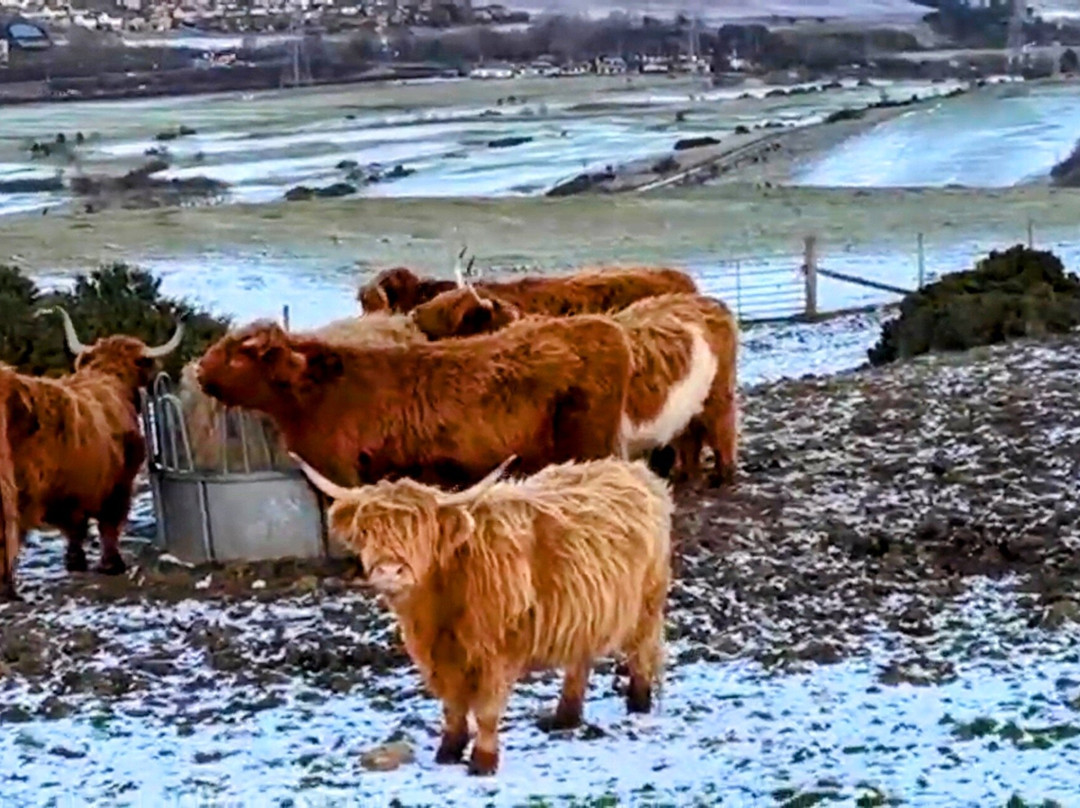 Pentland Hills-爱丁堡必去景点
