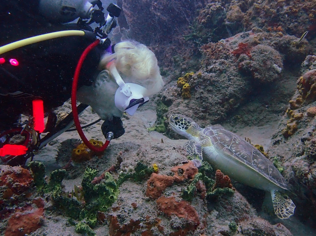 Scubaqua Dive Center-圣尤斯泰希厄斯岛必去景点