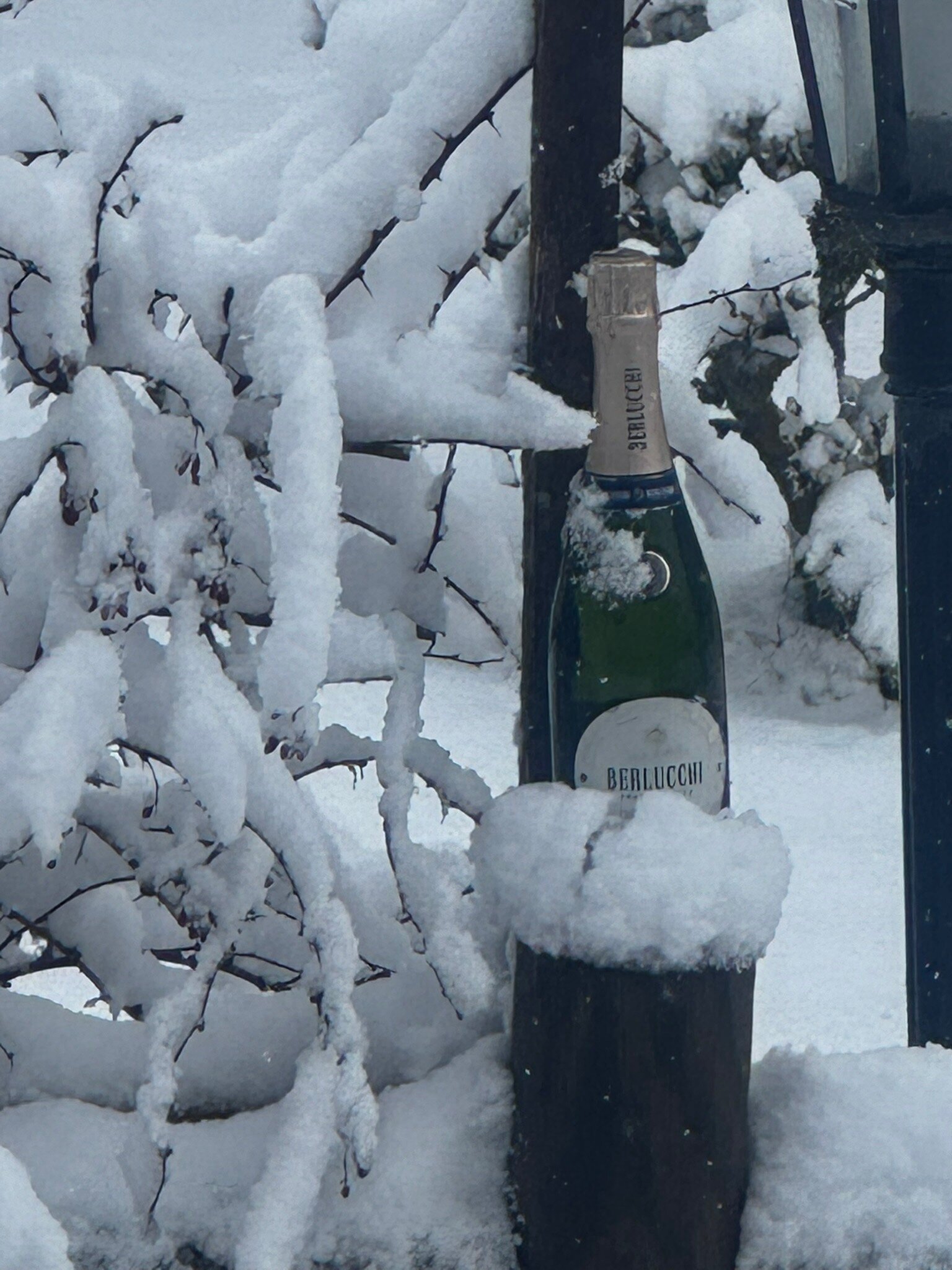 可科恩酒店-官方