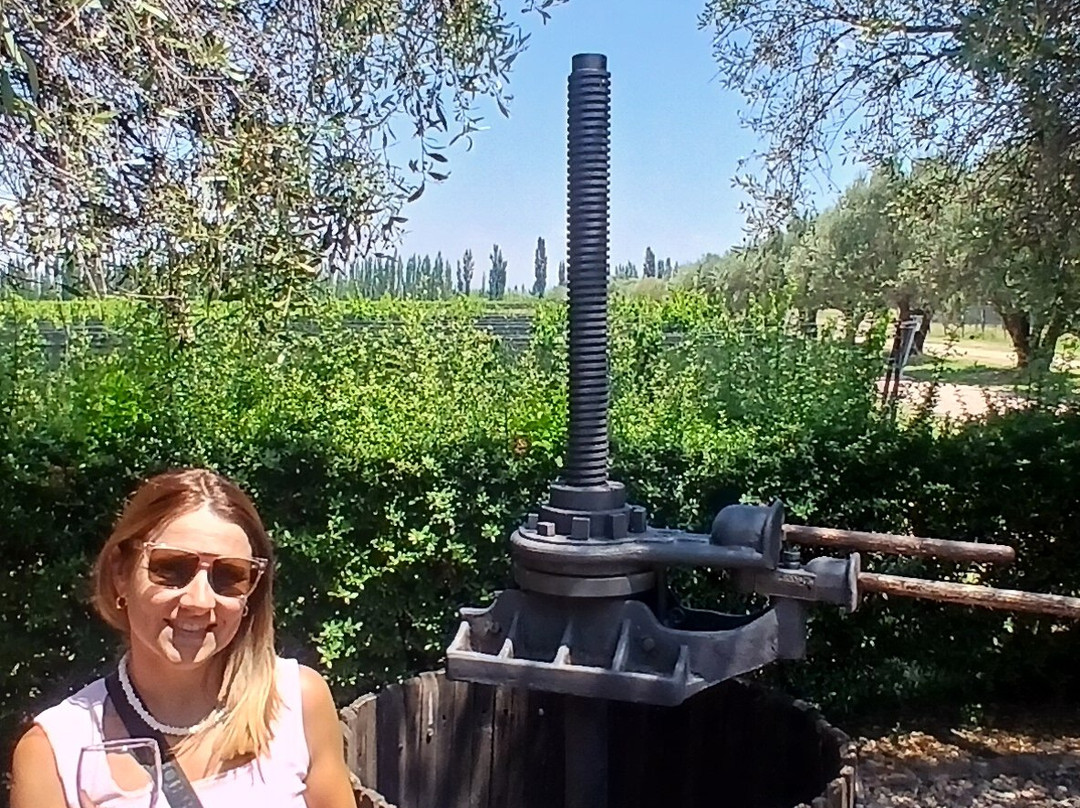 Bodega Labiano-圣拉斐尔必去景点