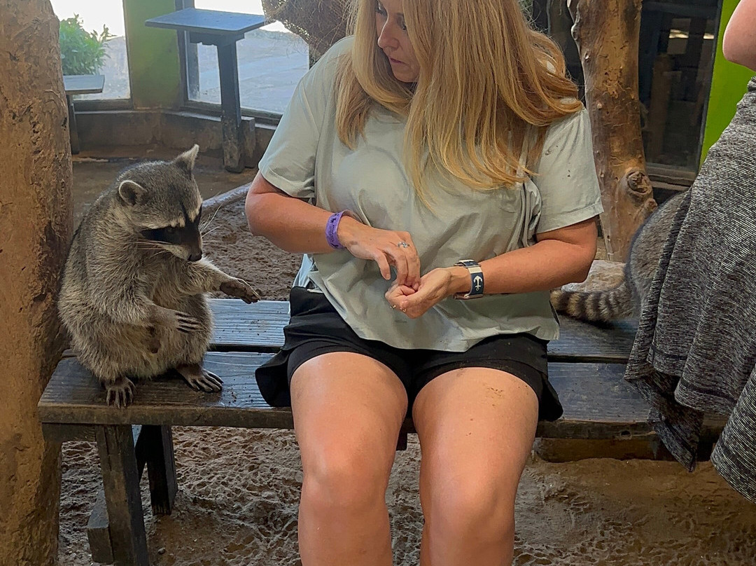 Pai Pai Ecotourism Park-恩塞纳达必去景点