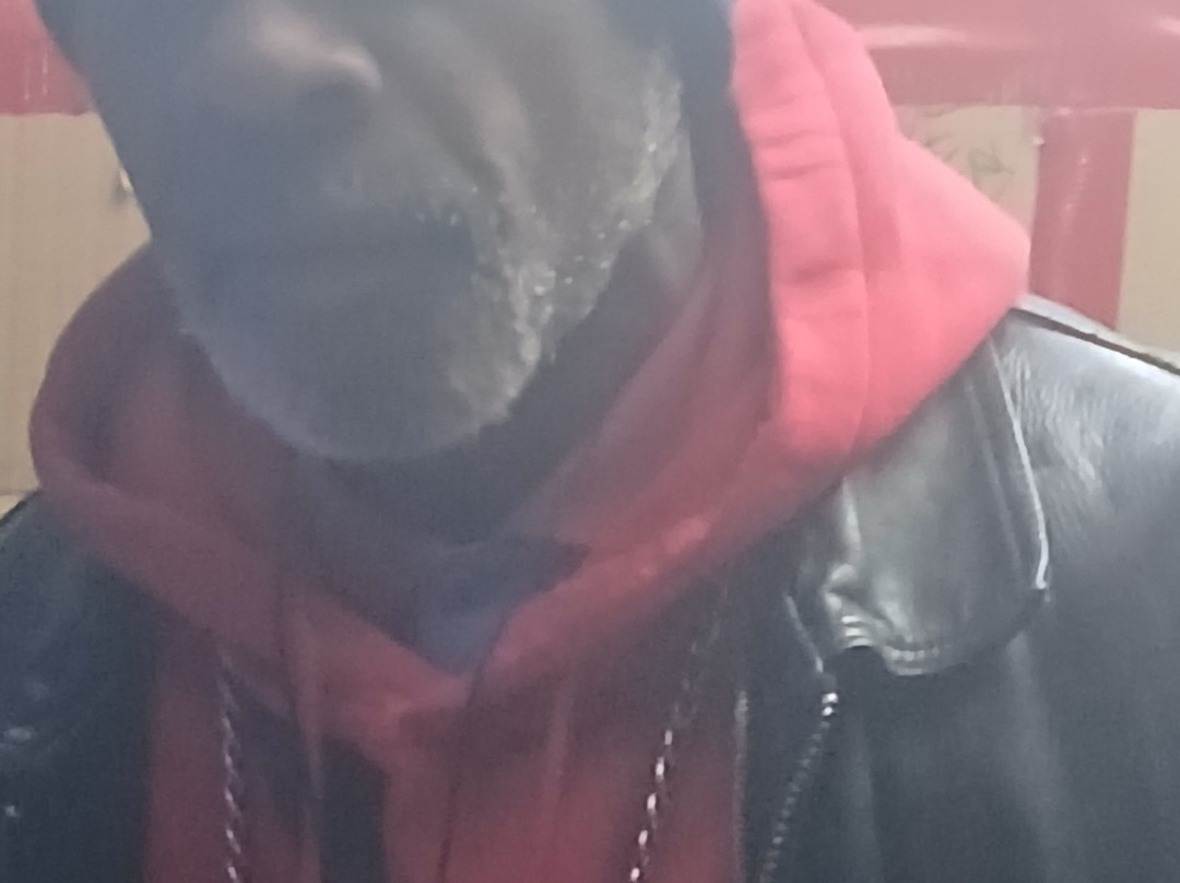 Sing Sing Prison Museum-Ossining必去景点