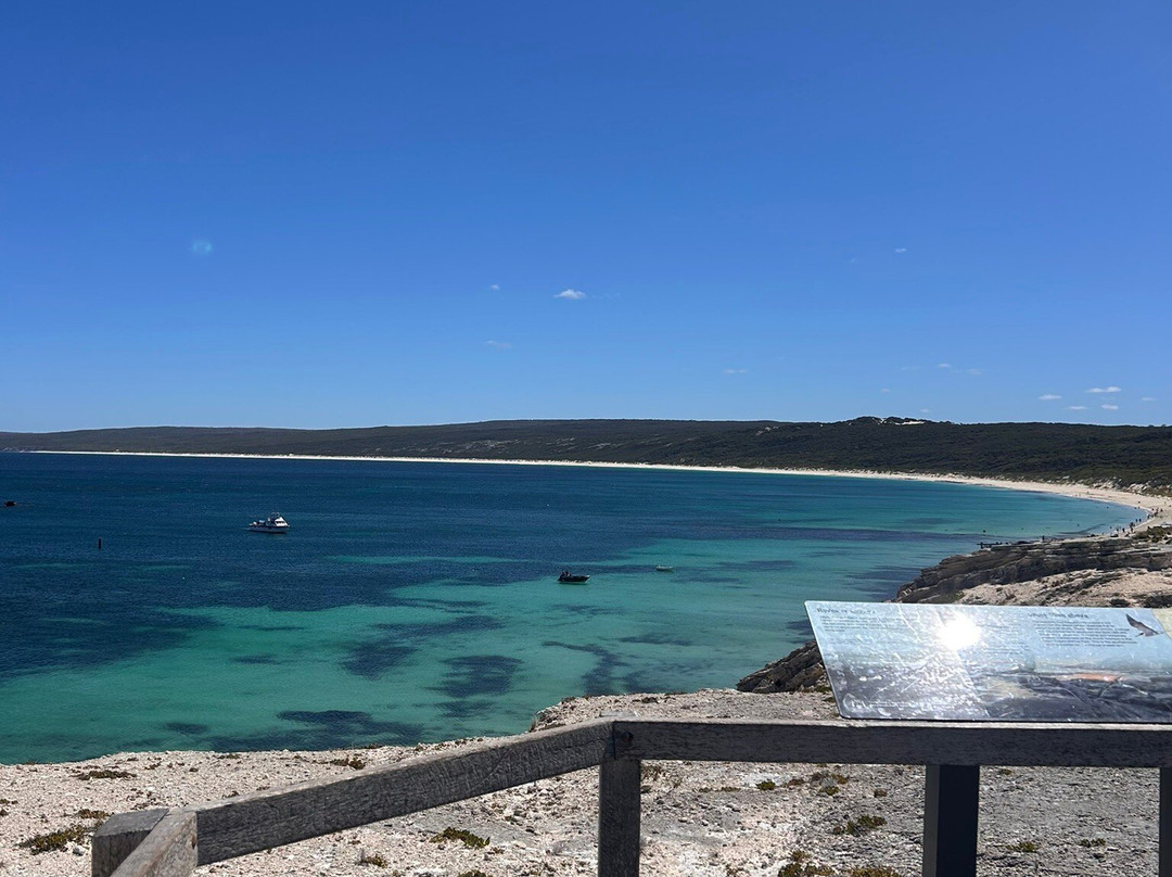 Hamelin Bay Jetty-Hamelin Bay必去景点