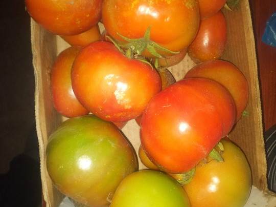 Rua Direita-奥比都斯必去景点