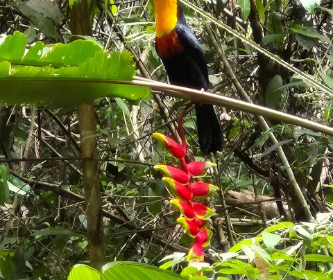 Museu de Biologia Prof. Mello Leitão-Santa Teresa必去景点