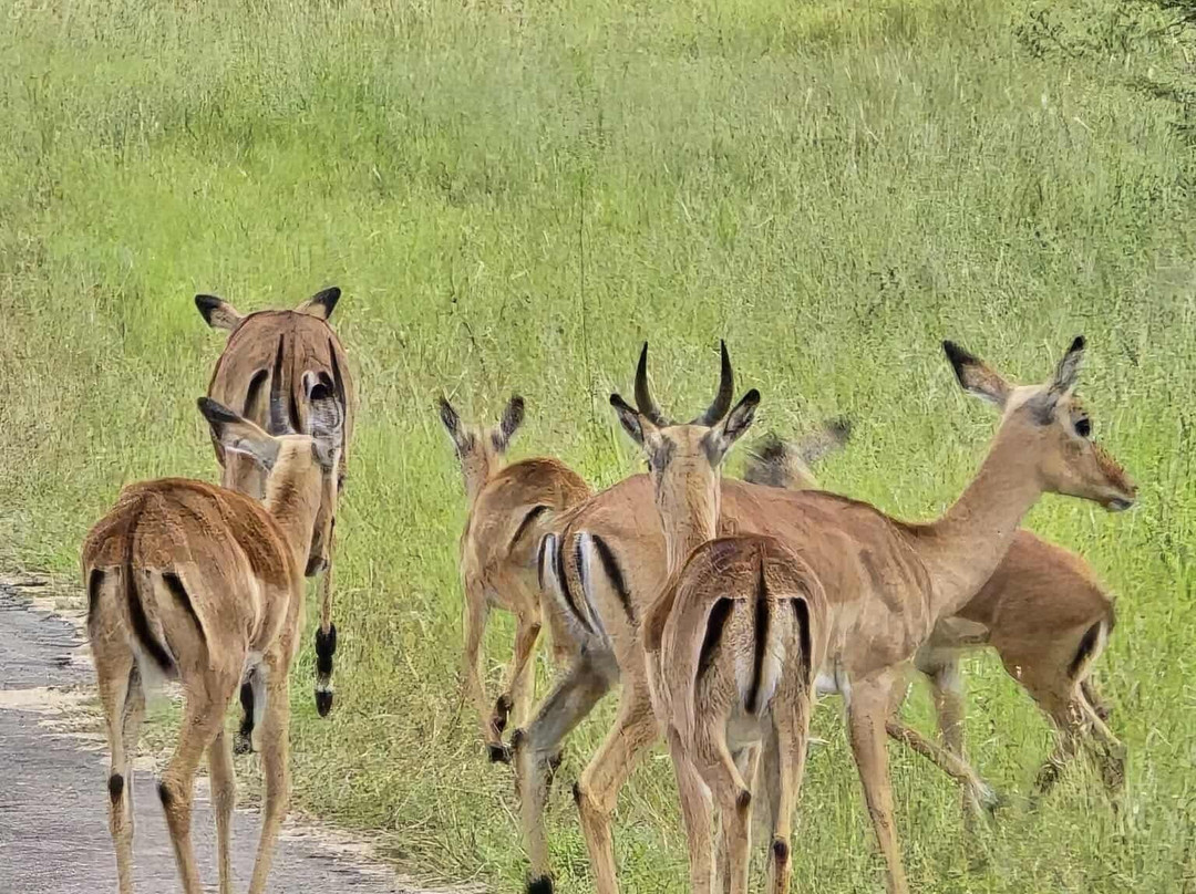 CD Tours - Day Trips-马里兰必去景点