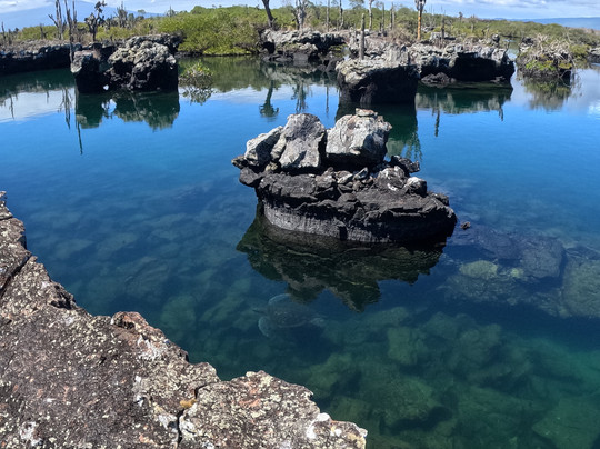 Galapagos by Local Guides-圣克鲁斯必去景点