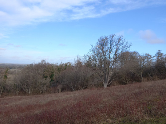 Watlington Hill-Watlington必去景点