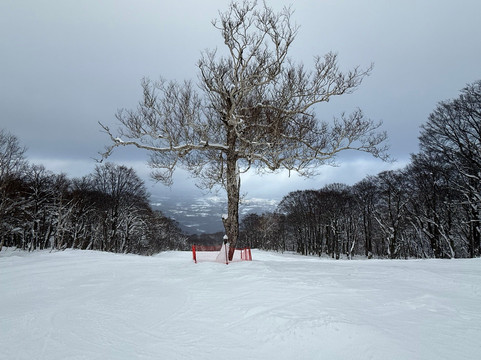 Hachimantai Resort Shimokura Ski Area-八幡平市必去景点