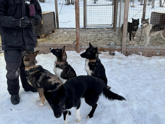 特罗姆瑟野外之旅-特罗姆瑟必去景点