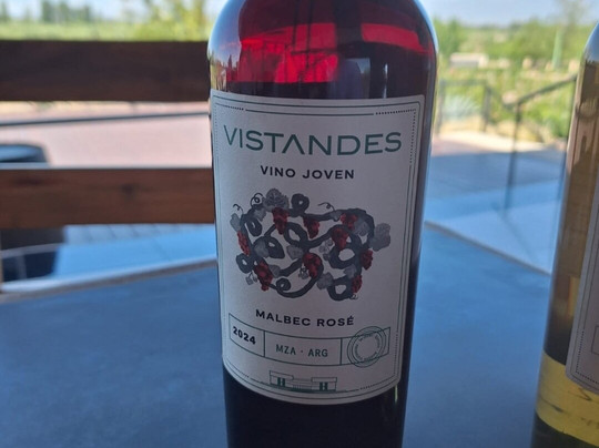 Vistandes Winery-Maipu必去景点