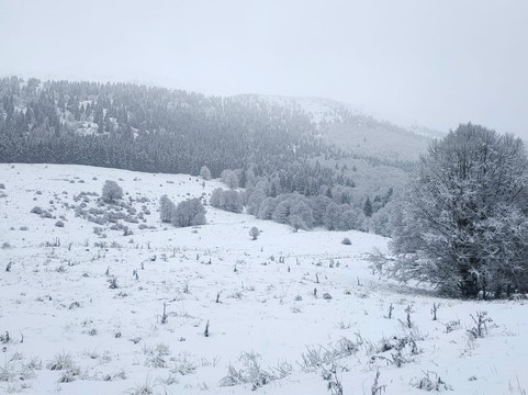 Pian del Cansiglio-Tambre必去景点