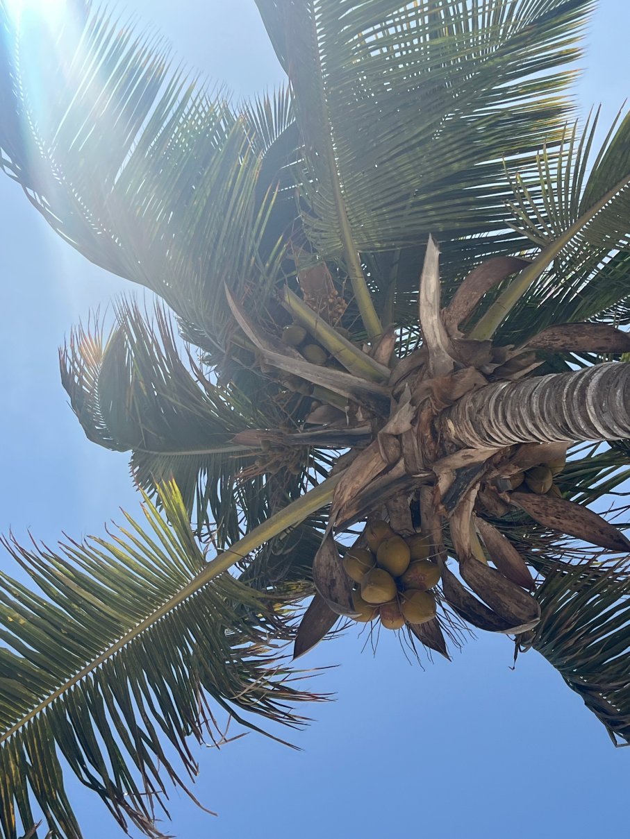 蓝色海湾度假酒店及水疗中心-浴室