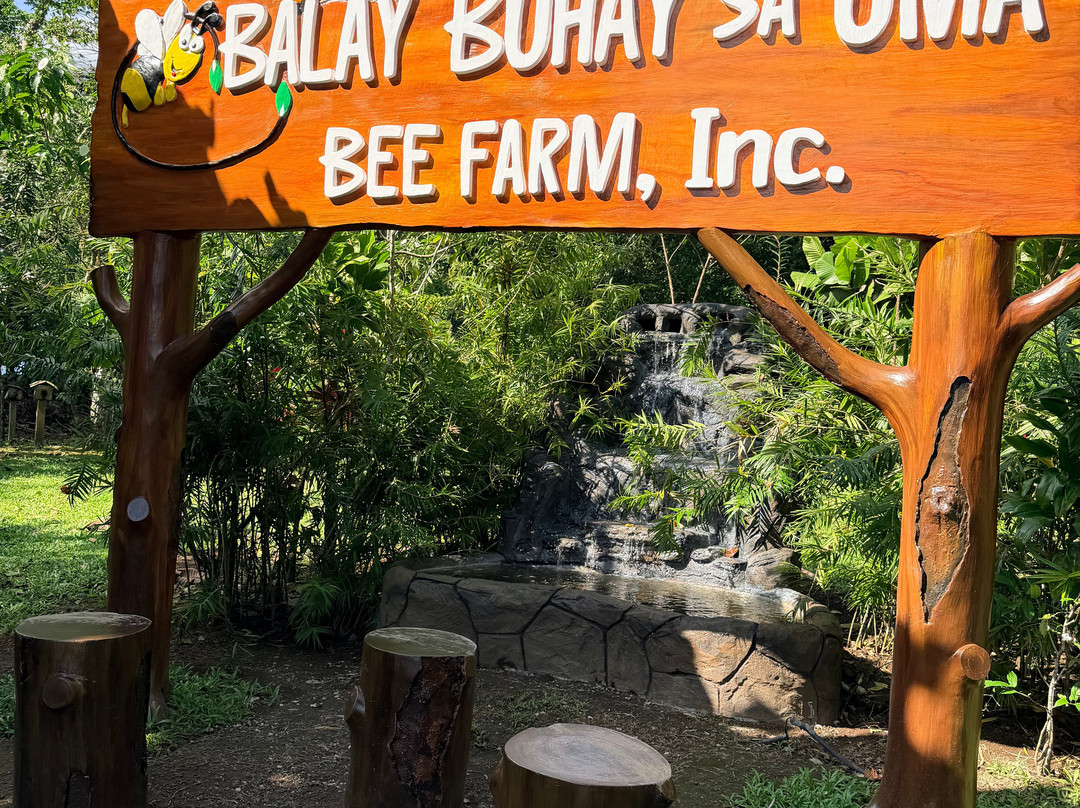 Balay Buhay Sa Uma Bee Farm-Bulusan必去景点