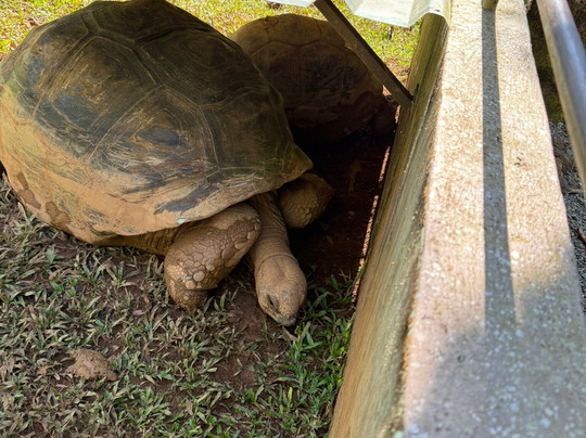 Parque Reptilandia-主日镇必去景点