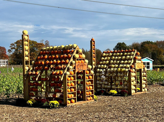 Happy Day Farm-Manalapan必去景点