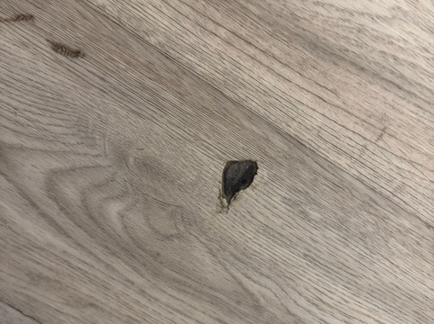 D-reizen-阿姆斯特丹必去景点