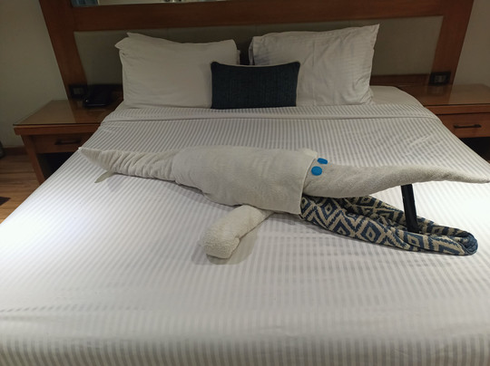 SUNRISE M/S Semiramis III主图