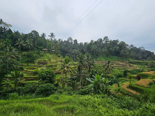 Bali Krisna Travel-金巴兰必去景点