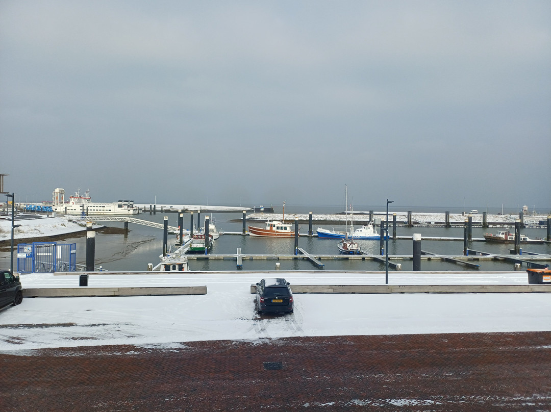 Vierhuizen酒店住宿-Schierzicht Logement