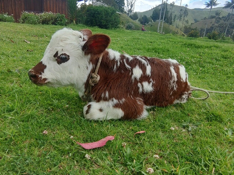 Mirador Valle De La Samaria