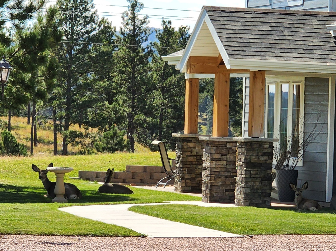 Borglum Inn Bed and Breakfast