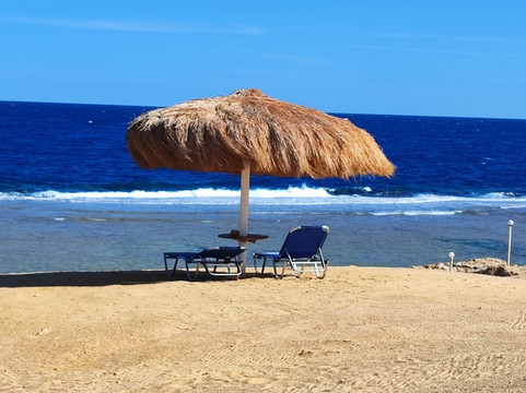 Seaworld Travel Egypt-马萨阿拉姆必去景点