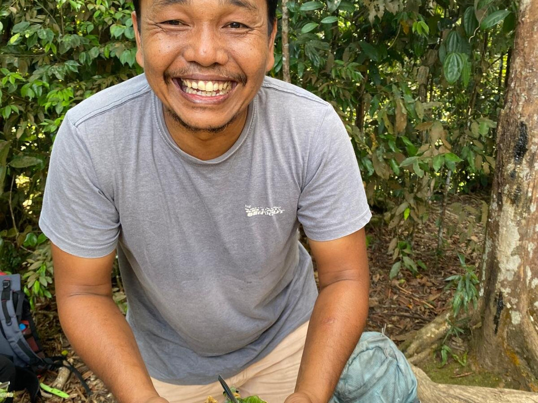 Sumatra EcoVentures-武吉拉旺必去景点