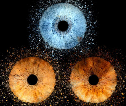 Iris Galerie Groningen-格罗宁根省必去景点