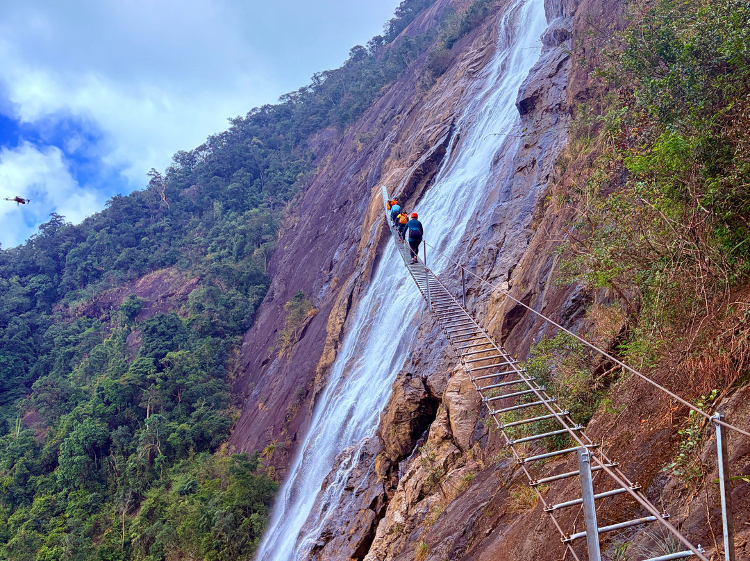 Jungle Boss Tours-峰牙－己榜国家公园必去景点