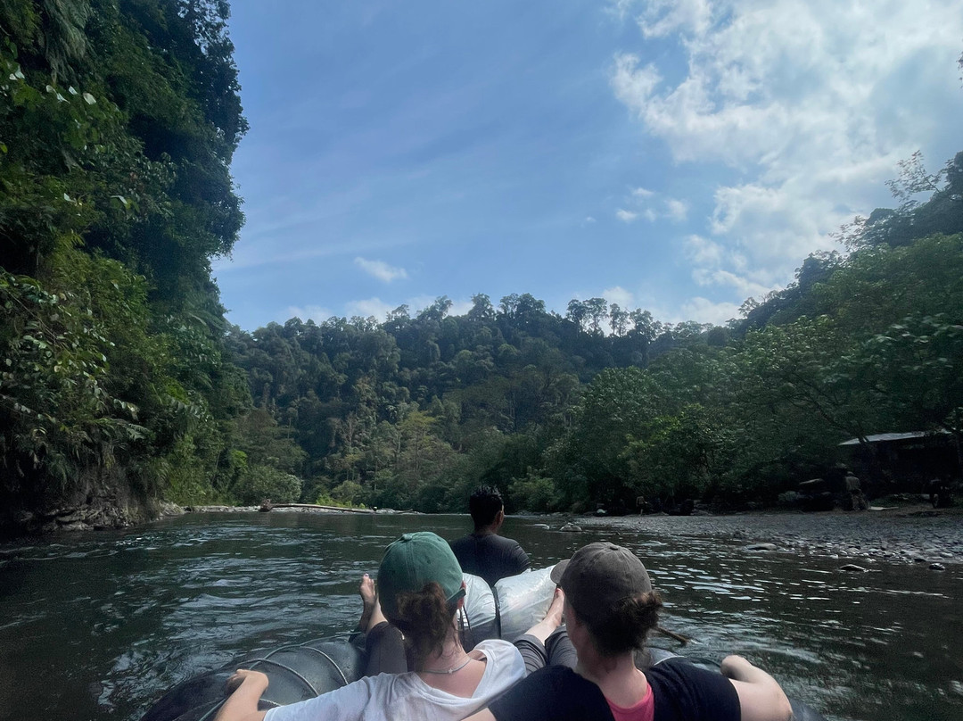 Trekking Orangutan Sumatra-武吉拉旺必去景点