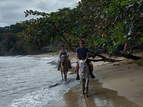 Ride The Rainforest-旧港必去景点