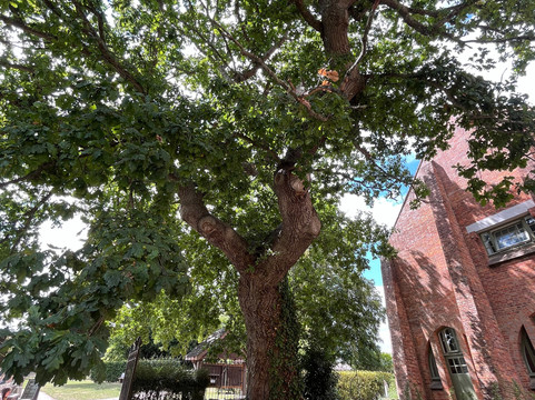 Quarr Abbey-赖德必去景点