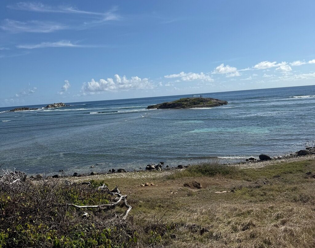 Blue Bubbles Sports & Tours-菲利普斯堡必去景点