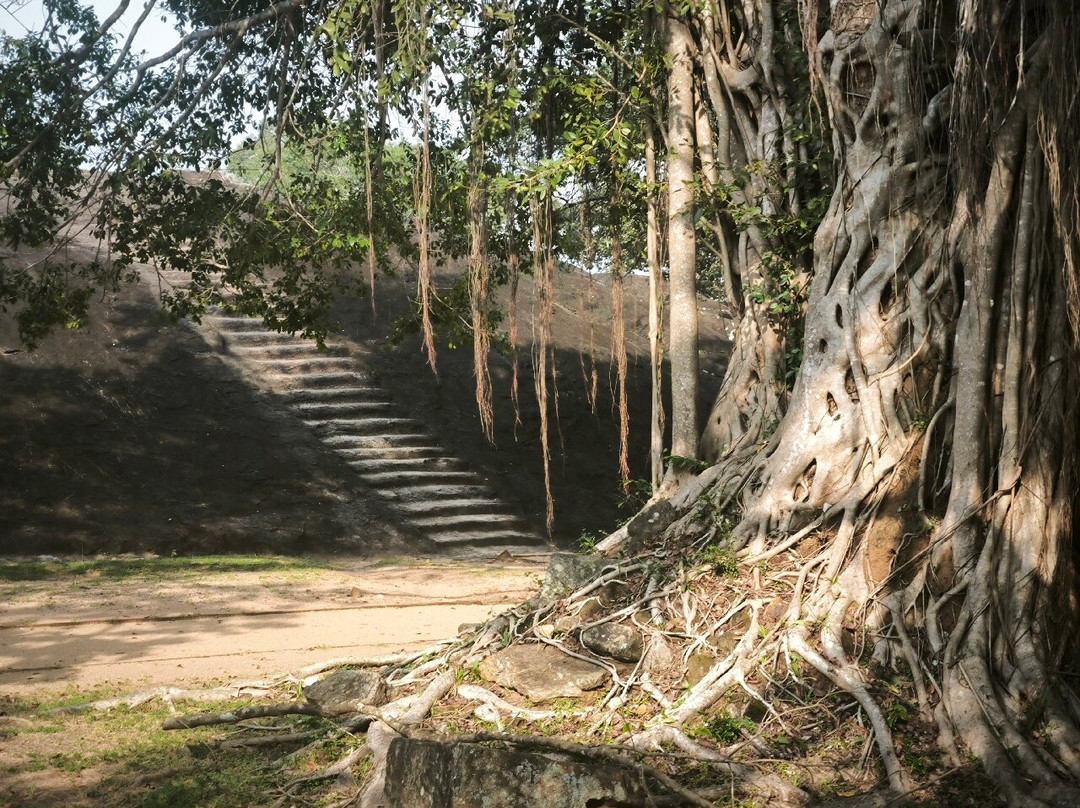 Medirigiriya Vatadage-波隆纳鲁瓦必去景点