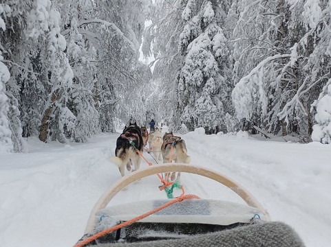 Era-Susi Huskies - Day Tours-Rukatunturi必去景点