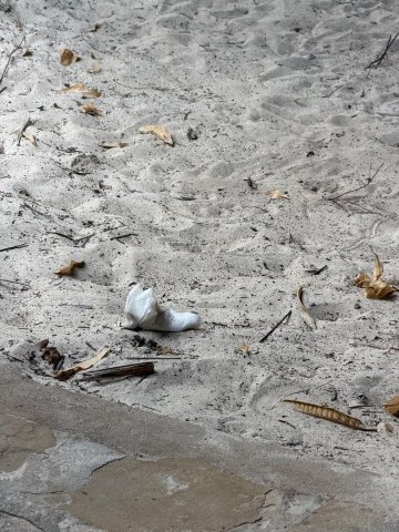 Kilifi Bay Beach Resort-浴室