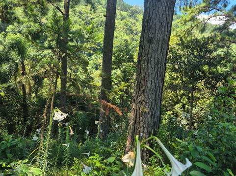 Ecoparque Sperry-卡内拉必去景点