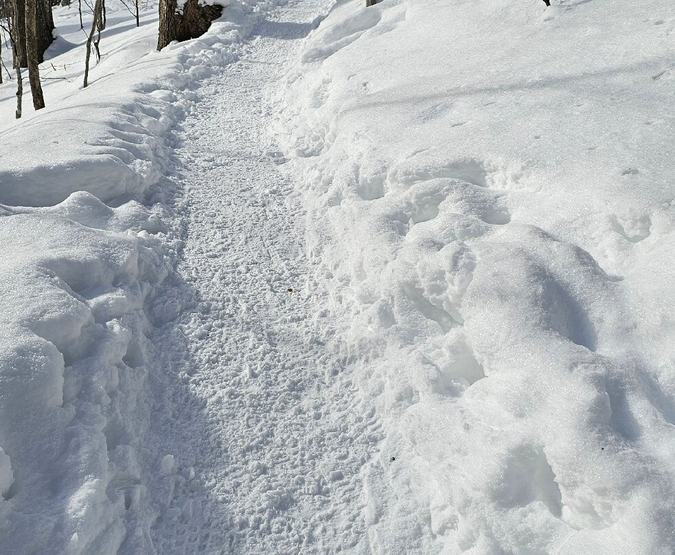 Parc des Sommets de Bromont-Bromont必去景点