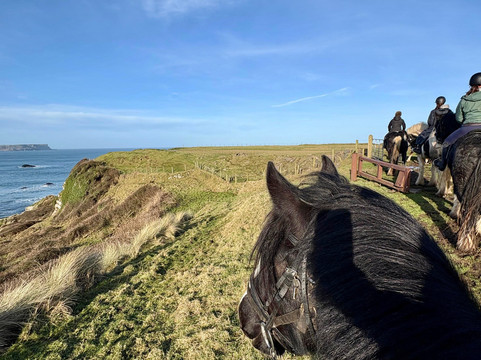 Bespoke Equestrian Ireland-都柏林必去景点