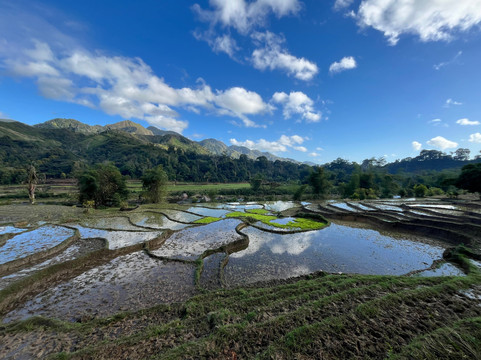 Masoala Nature Guide and Tours Organize-Maroantsetra必去景点