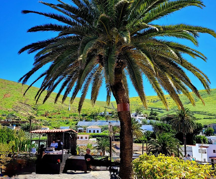 Cool Runnings-Caleta de Fuste必去景点