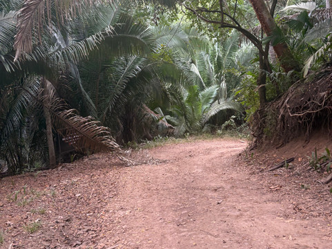 Punta Monterrey主图