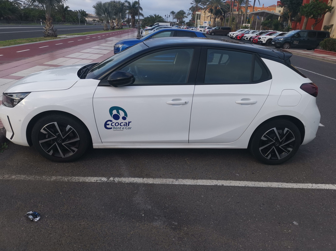 Ecocar Fuerteventura-Castillo Caleta de Fuste必去景点