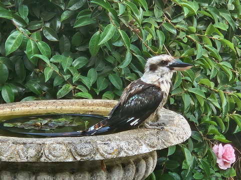 格尼斯塔住宿加早餐旅馆主图